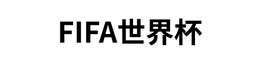 FIFA世界杯